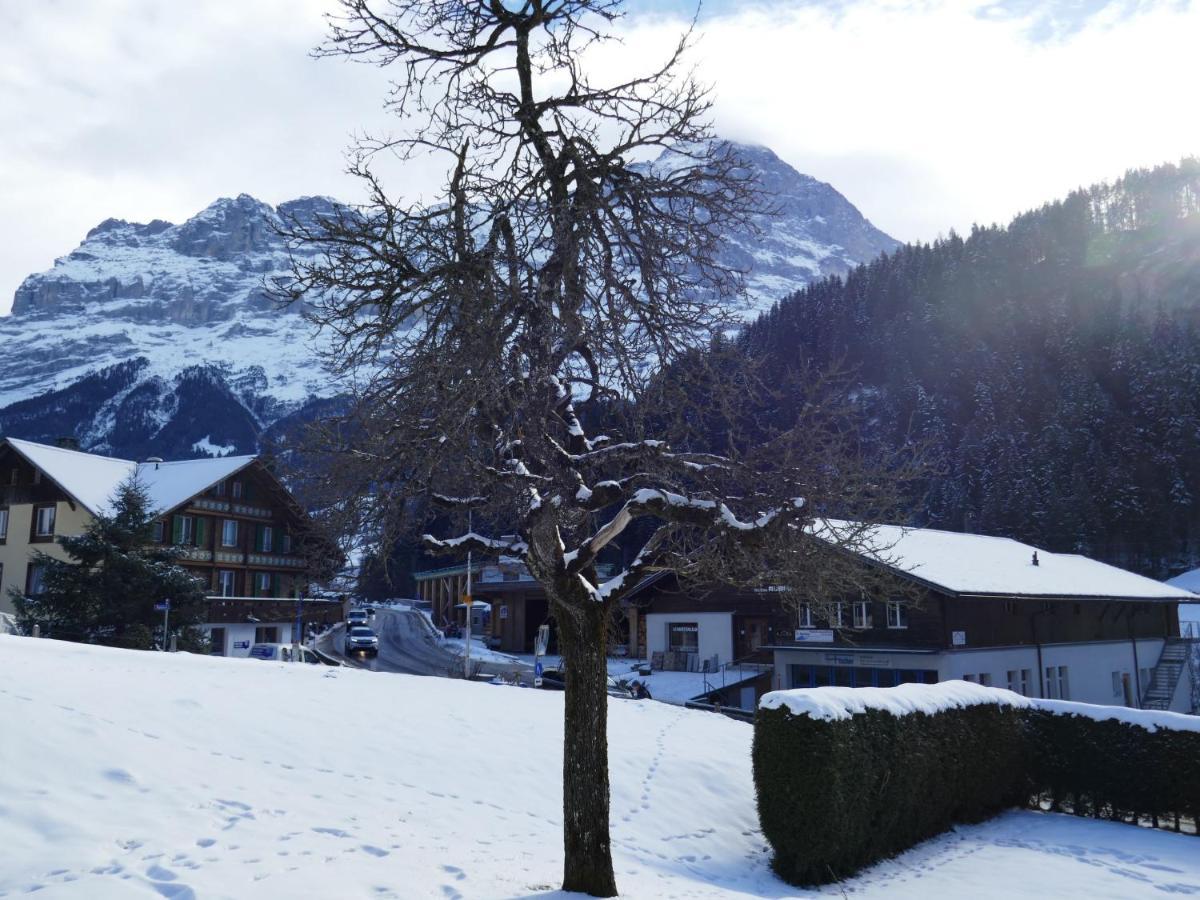 Apartment Chalet Schwendihus-6 By Interhome Grindelwald Buitenkant foto