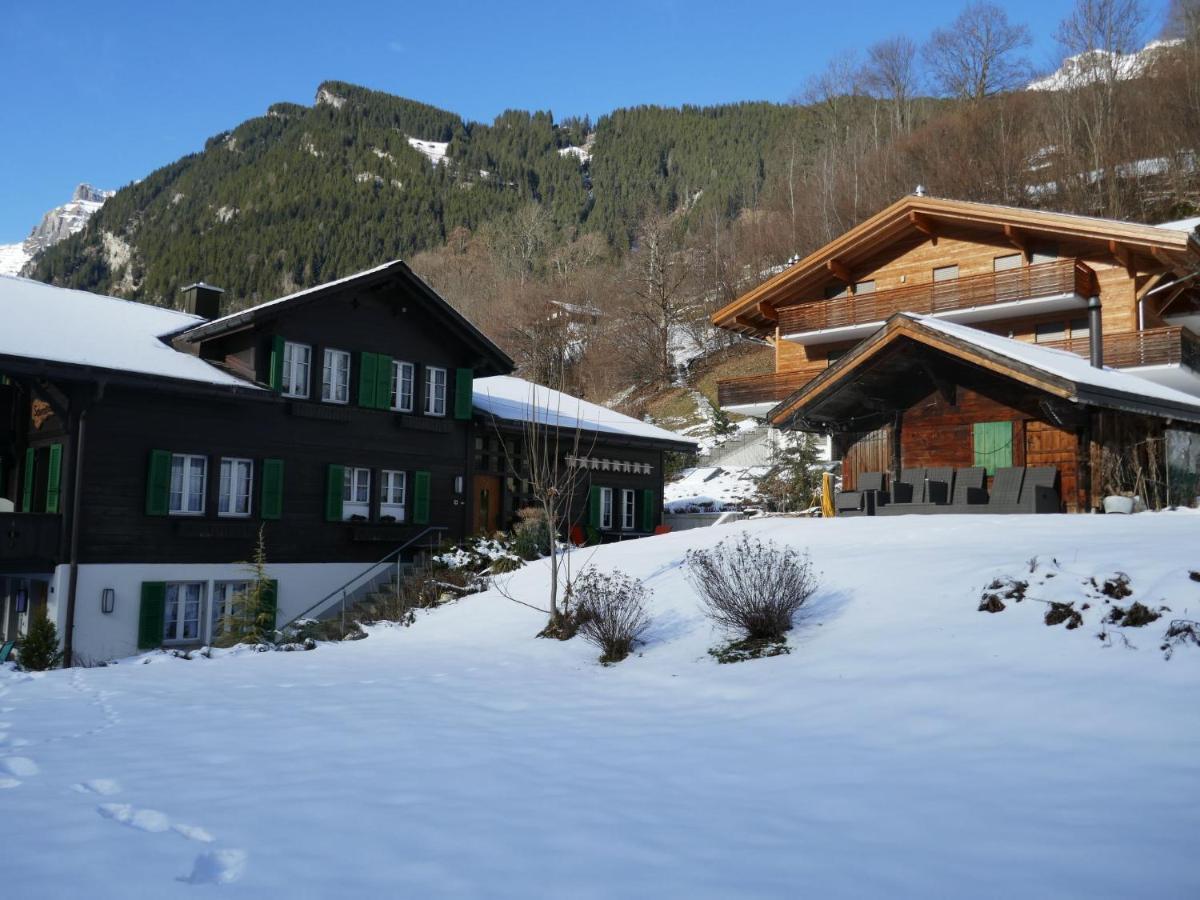 Apartment Chalet Schwendihus-6 By Interhome Grindelwald Buitenkant foto