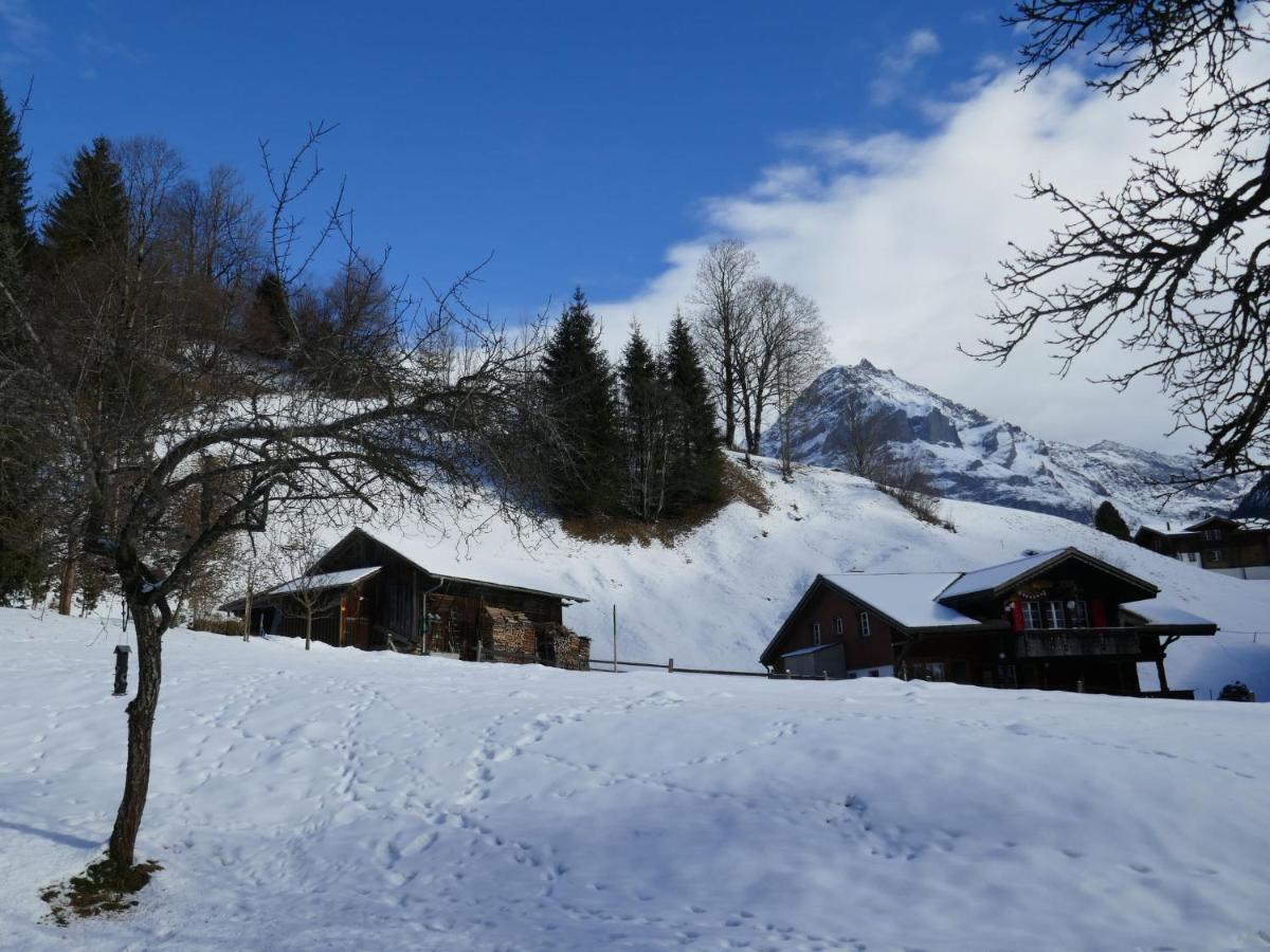 Apartment Chalet Schwendihus-6 By Interhome Grindelwald Buitenkant foto