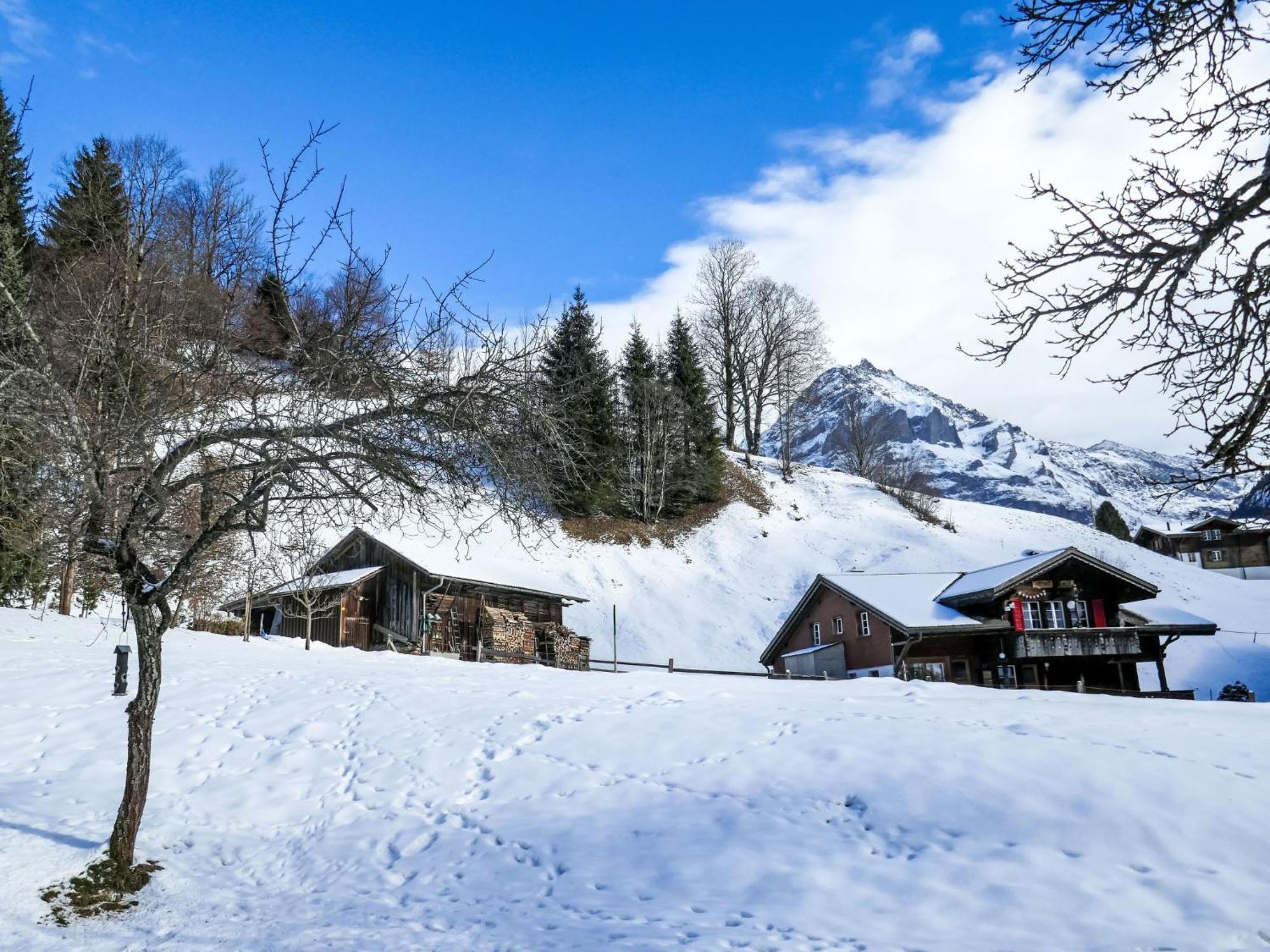 Apartment Chalet Schwendihus-6 By Interhome Grindelwald Buitenkant foto